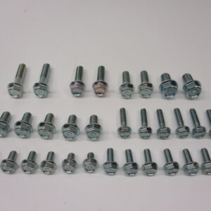 Bolt set universal for all Hondas (with the well-known logo on the head!)