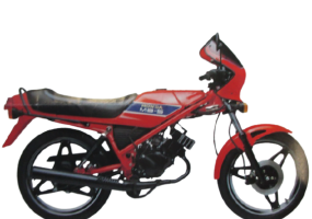 IMG_0012-removebg-preview